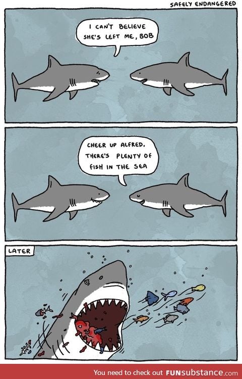 Alfred the Shark