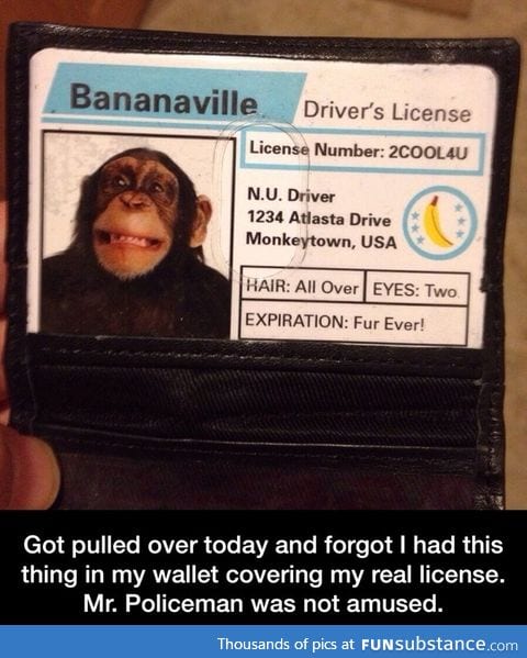 Drivers license