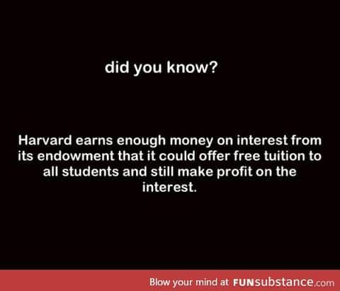 Harvard profit
