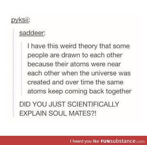 Scientifically explaining soul mates