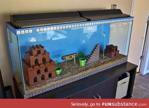 Best. Fish tank. Ever