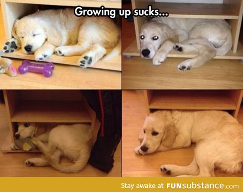 Growing up is overrated