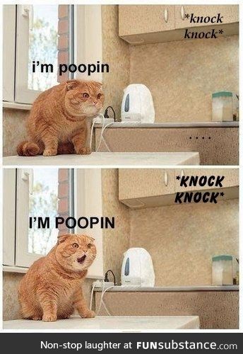 Knock knock