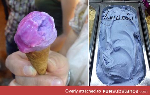 “XAMALEÓN,” AN ICE CREAM THAT CHANGES COLOR AS YOU LICK IT