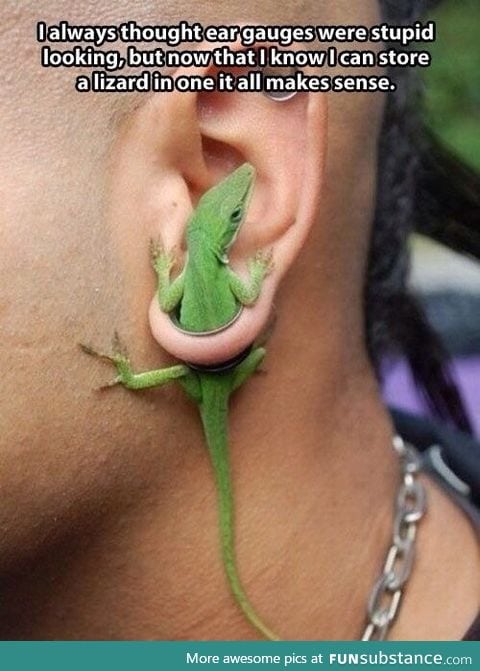 You can store a lizard in these