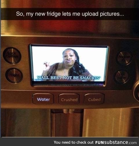 Fridge