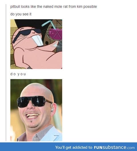 Pitbull possible