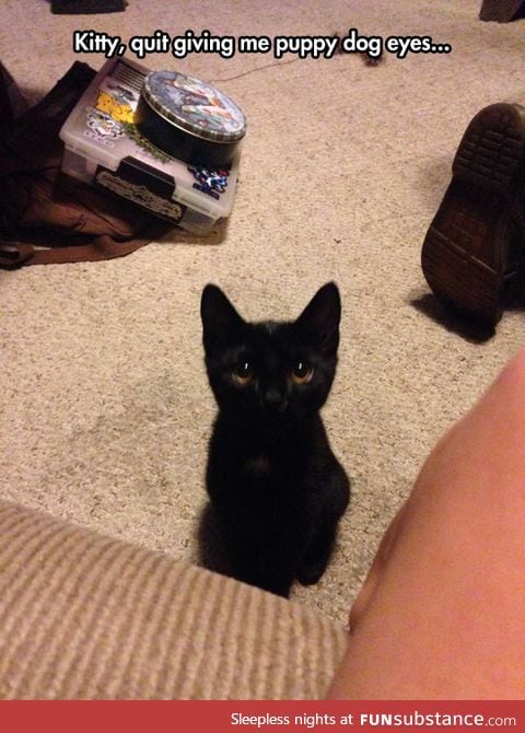 Little toothless