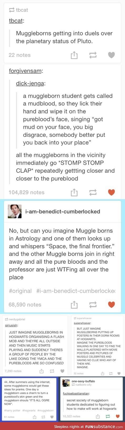 Muggleborns at Hogwarts