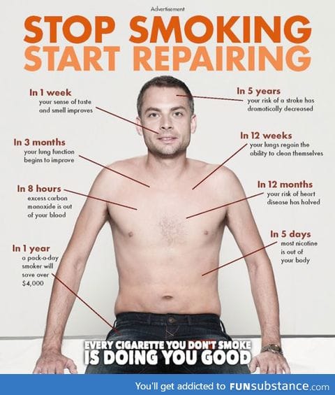 Stop smoking, start repairing