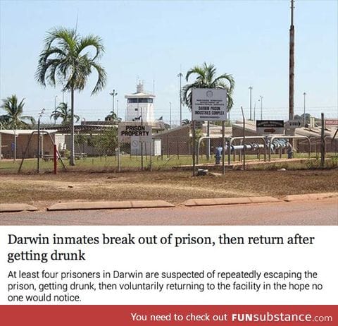 Prisoners with good manners