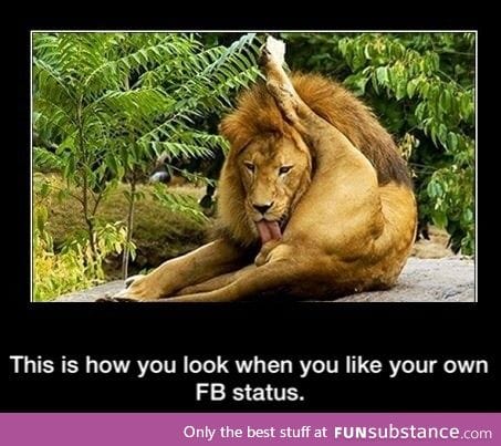 Liking your post