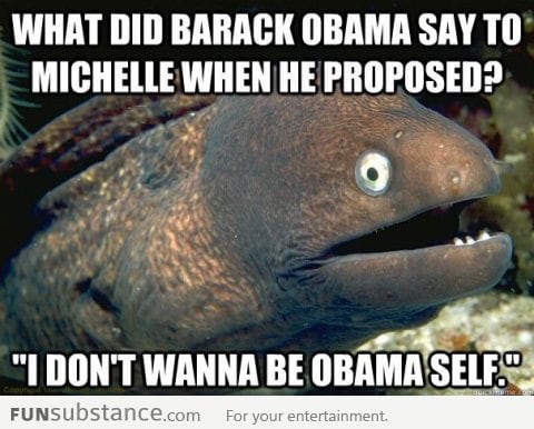 Bad Joke Eel on Obama