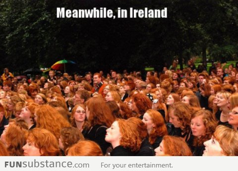 Meanwhile in Ireland