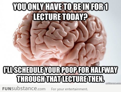 Scumbag brain strikes