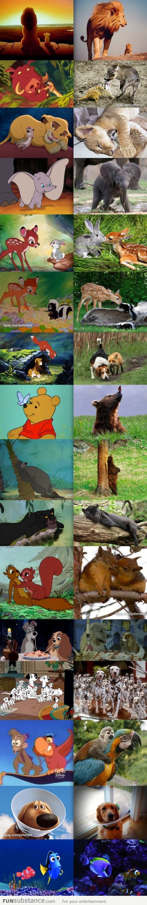 Disney animals in real life