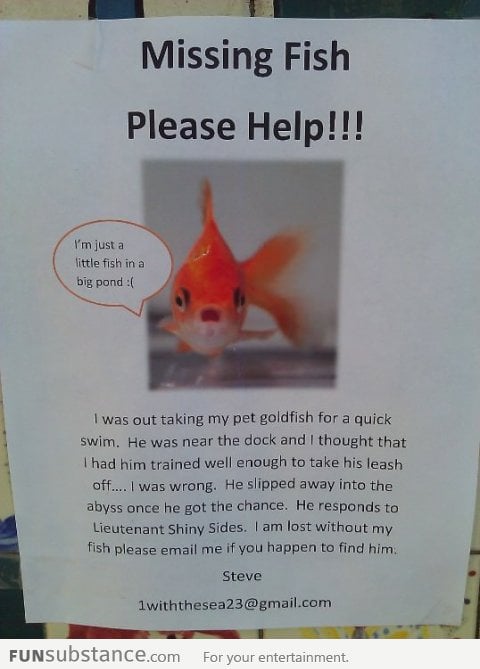 Missing Fish Please Help!