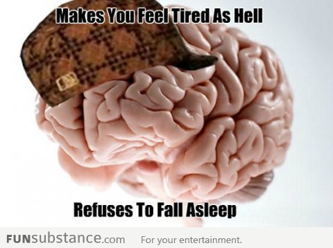 Scumbag Brain