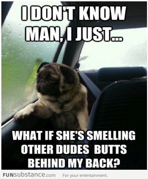 Sad Pug Problems