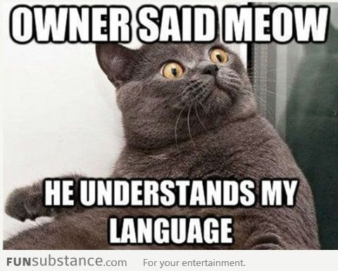 The humans understands my language!