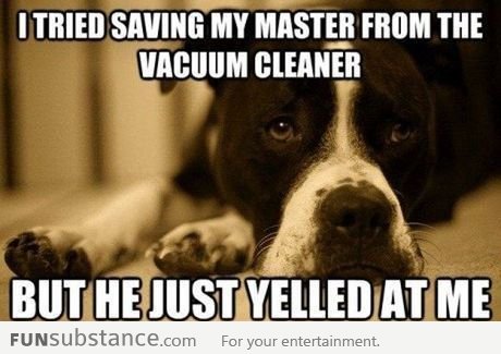 Misunderstood Dog