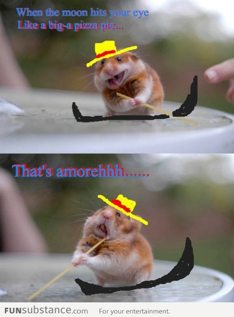 Hamster Gondolier