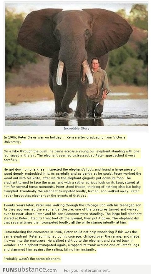 Unbelievable Story