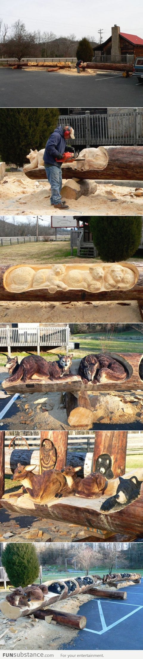 Brilliant Tree Trunk Carvings With a Chainsaw