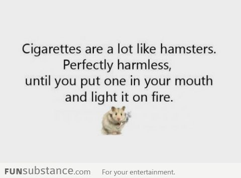 Cigarettes are like hamsters