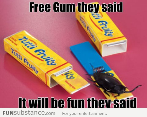 Free Gum They Said