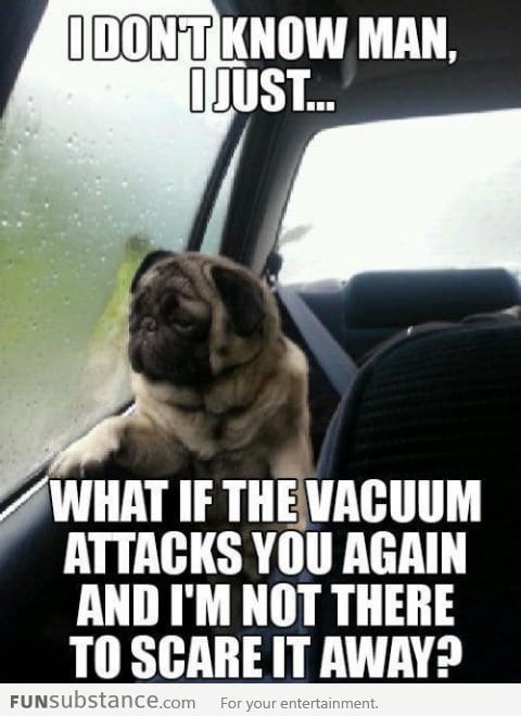 Depressed Pug on Vacuum Cleaners