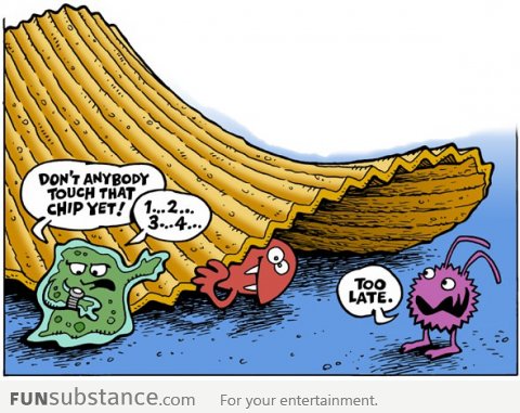 The 5 second rule