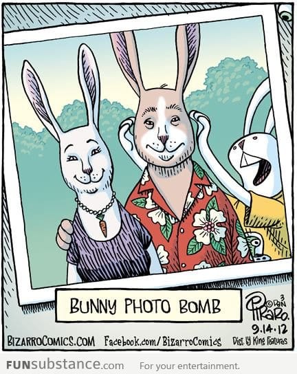 Bunny photo bomb