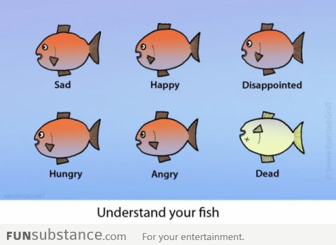 Understand your fish