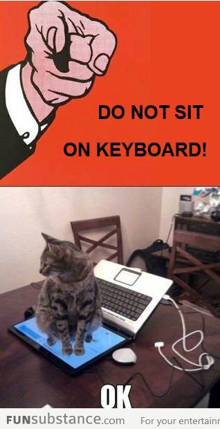 Keyboard Troll Level: Cat