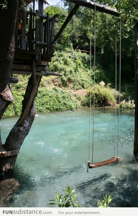 Swimming pool made to look like a pond