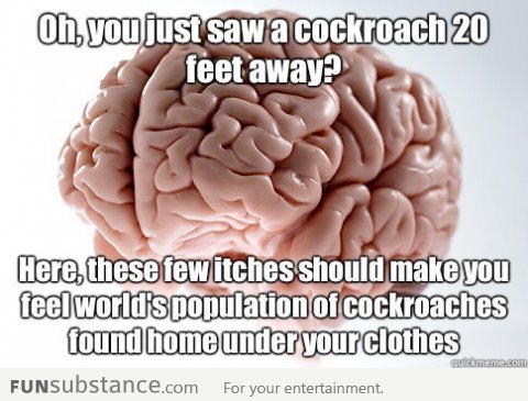 Scumbag Brain