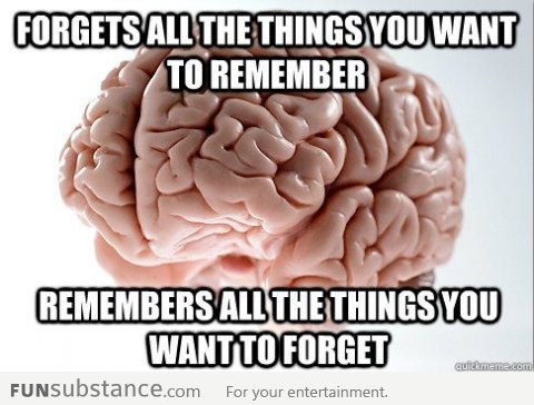 Scumbag Brain On Remembering