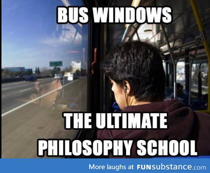 School bus windows