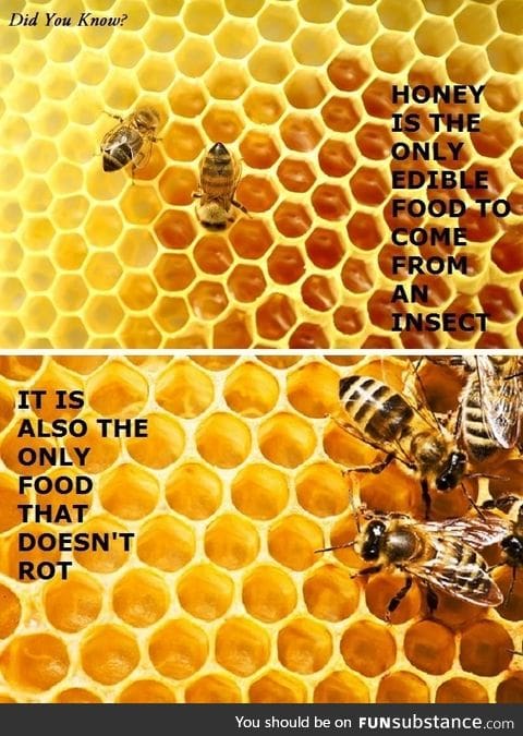 Did you know about honey