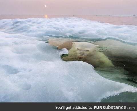 Under the Ice