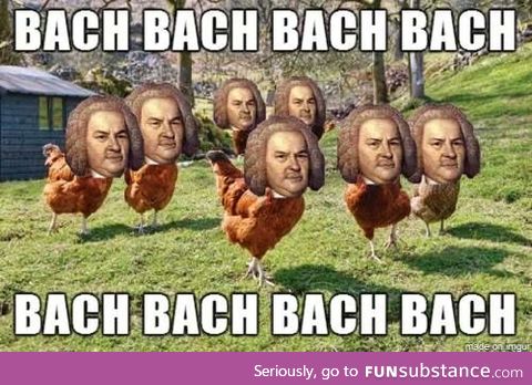Here a Bach, there a Bach, everywhere a Bach Bach