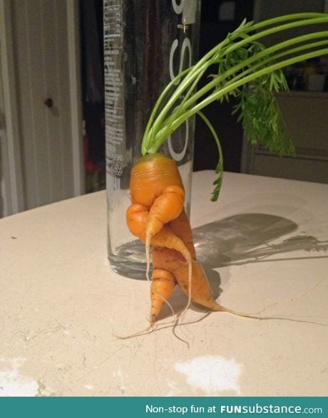 Turnip the beat! (I know it's a carrot)