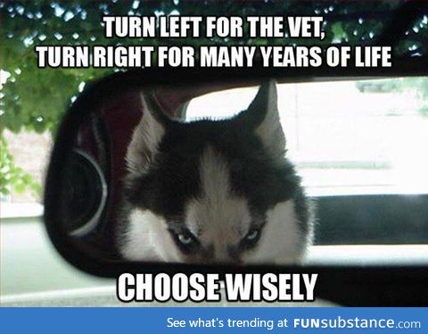 Choose wisely, human