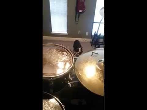 You Know Your Drumming Is Bad When Your Dog Can't Tolerate It 0