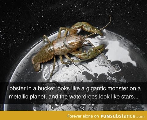 Looks like a gigantic space lobster