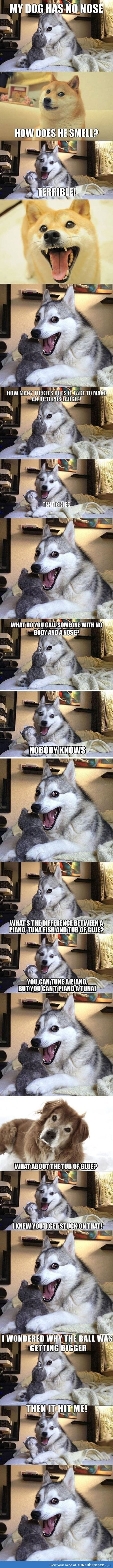 husky jokes compilation