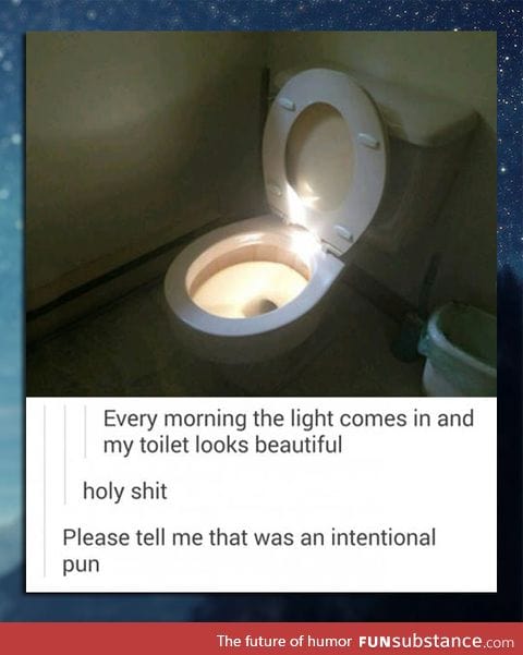 The holy toilet