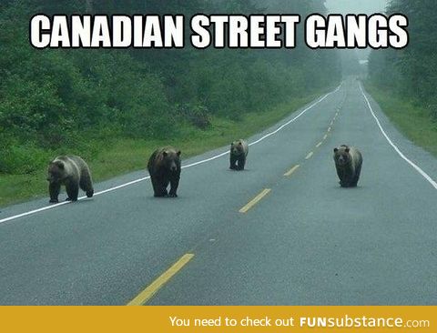 Canadian street gang