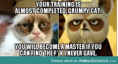 Training to be a fuk yu master